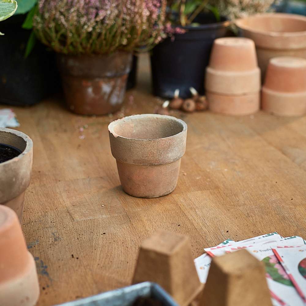 Terracotta kruka – Ø: 6,5 cm